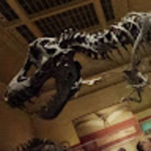 Meet your Posher, Ivan